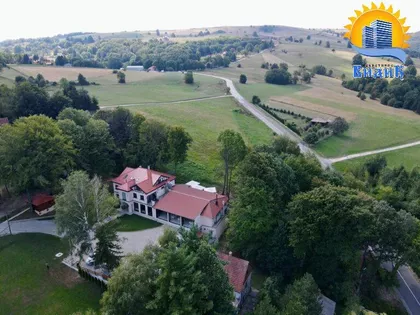 Česte bukve | 4zida.rs