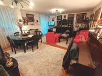 Liman 3, Liman, Gradske lokacije, Novi Sad | 4zida.rs | 4zida.rs