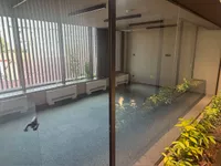 Dorćol, Stari Grad opština, Beograd | 4zida.rs