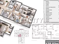 Liman 4, Liman, Gradske lokacije, Novi Sad | 4zida.rs