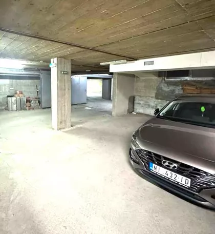 Šojka | 4zida.rs