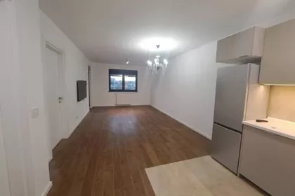 Dragoslava Srejovića | 4zida.rs