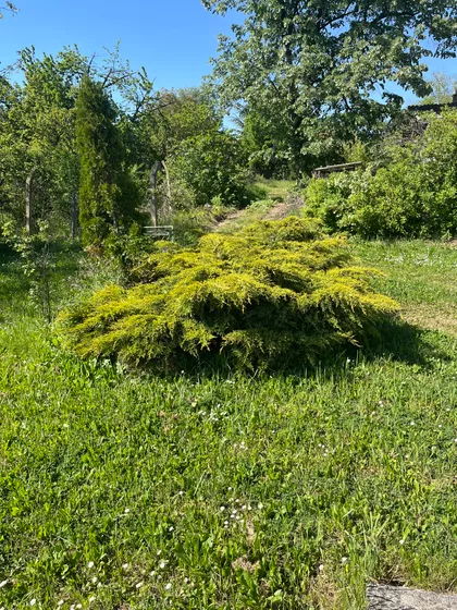 Sunčani breg | 4zida.rs