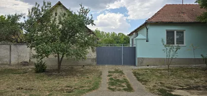 Pačir | 4zida.rs