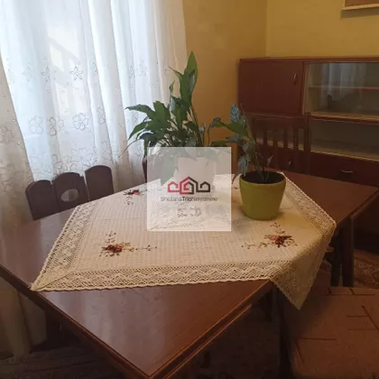 Novi Sad - Centar | 4zida.rs