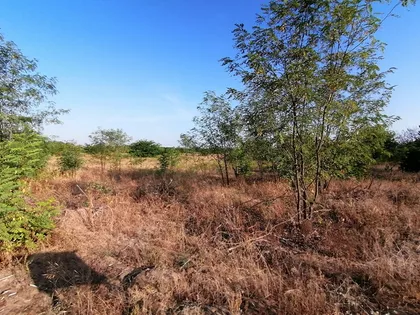 Srpski Šor | 4zida.rs