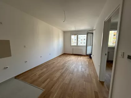 Kiš Ernea 36 | 4zida.rs