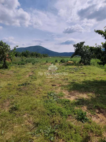 Vinogradarska | 4zida.rs