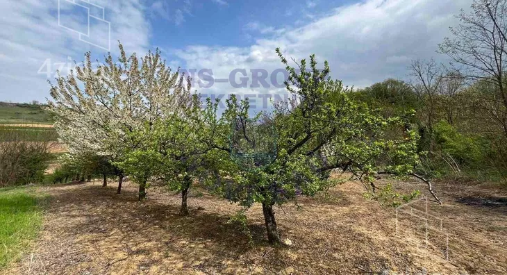 Poljoprivredno zemljište | 4zida