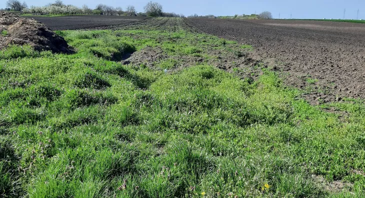 Poljoprivredno zemljište | 4zida