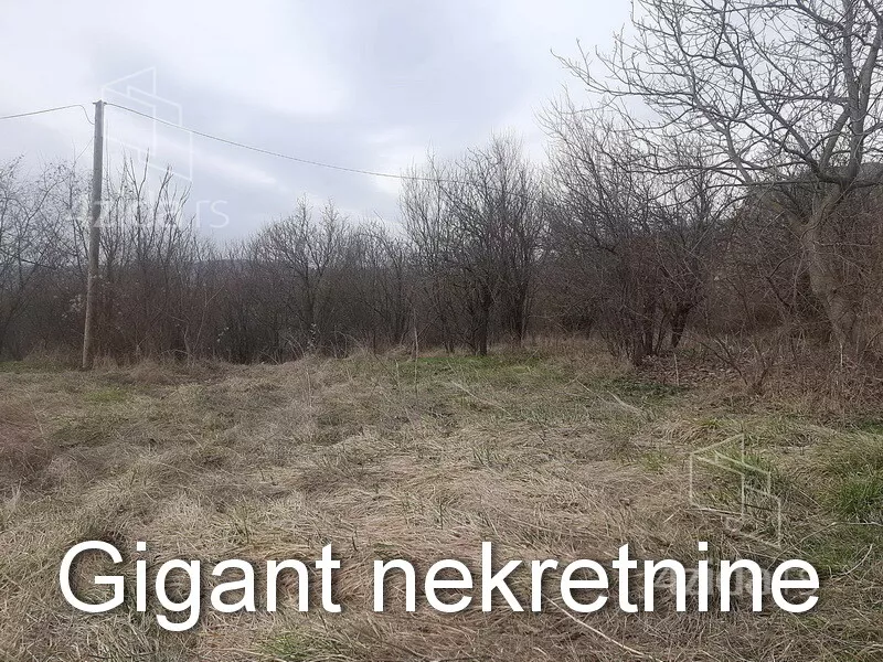 Plac | 4zida