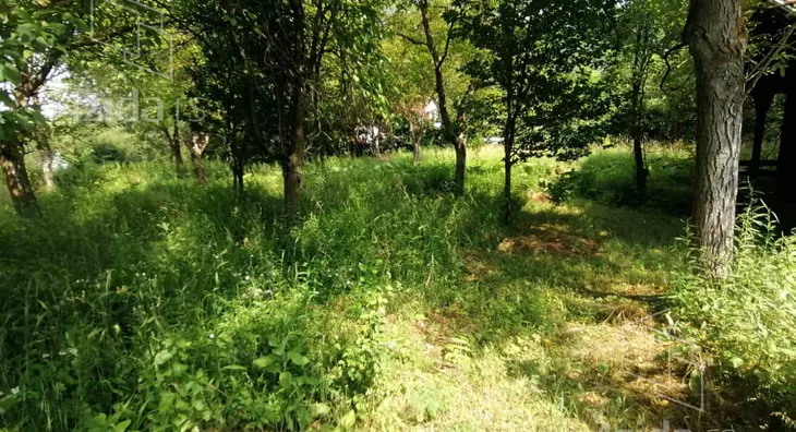 Plac | 4zida