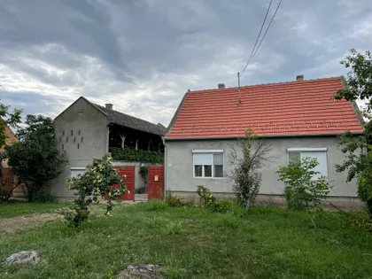 Zeleni Sokak 29 | 4zida.rs