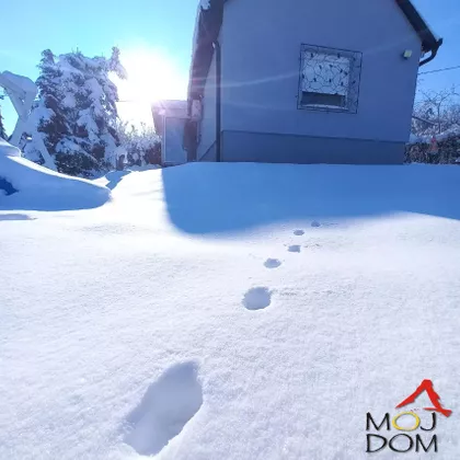 Čerević | 4zida.rs