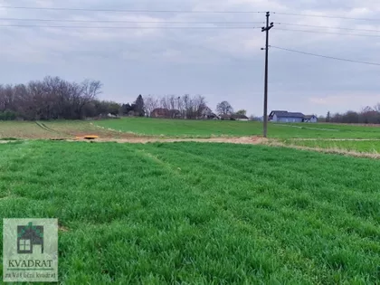 Zvečka | 4zida.rs