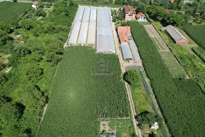 Ovča | 4zida.rs