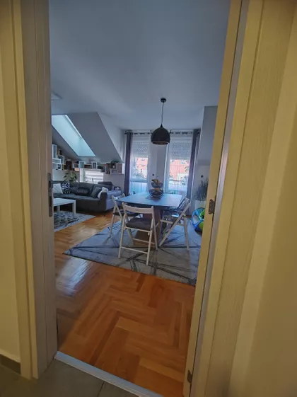 Nova Detelinara | 4zida.rs