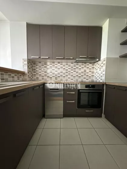 Dr Ivana Ribara | 4zida.rs