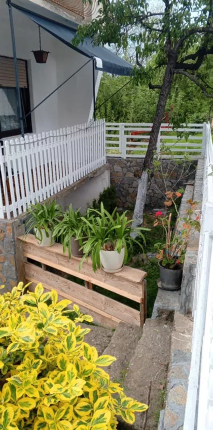 Todora Od Stalaća | 4zida.rs