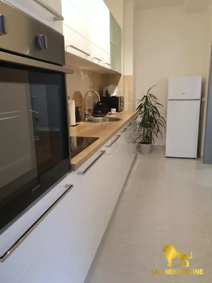 VASE STAJIĆA | 4zida.rs