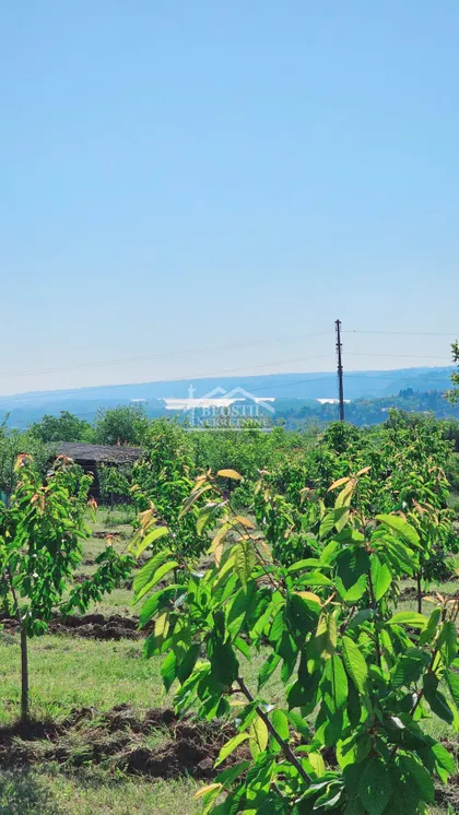 Grocka (mesto) | 4zida.rs