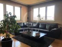 Nova Detelinara, Detelinara, Gradske lokacije, Novi Sad | 4zida.rs | 4zida.rs