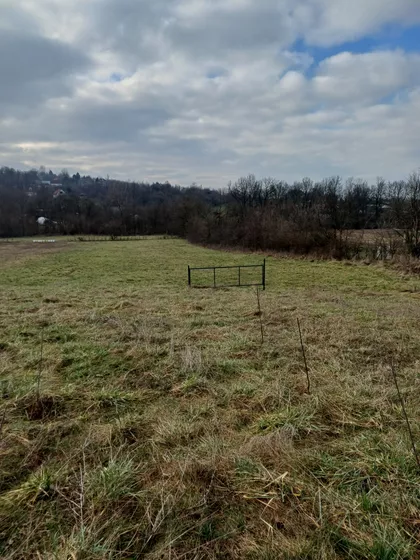 Draževac | 4zida.rs