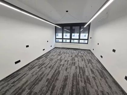 Dragoslava Srejovića | 4zida.rs