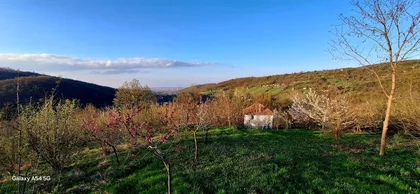 Grošnica | 4zida.rs