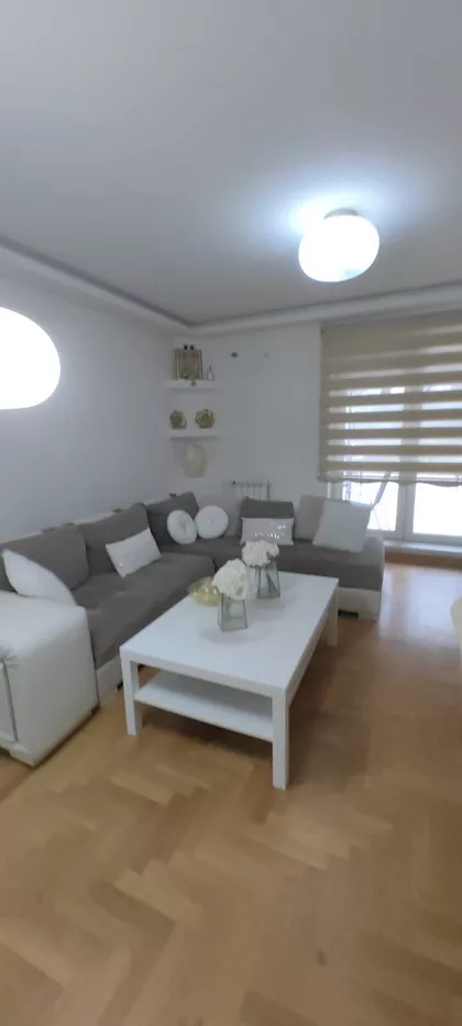 Ante Bogićevića | 4zida.rs