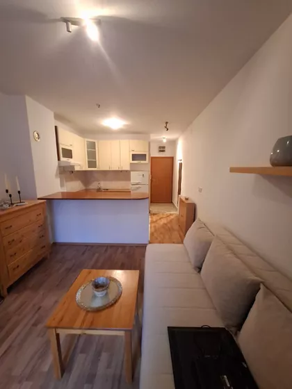 Laze Kostića | 4zida.rs