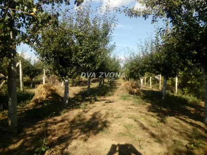 Čortanovci | 4zida.rs