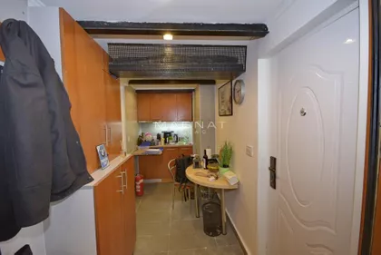 Zmaj Jovina | 4zida.rs