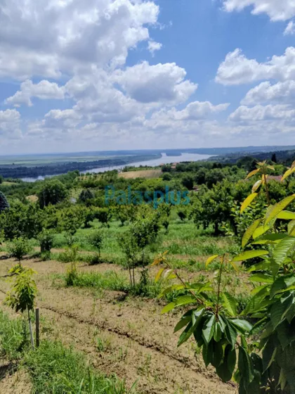 Ritopečka | 4zida.rs