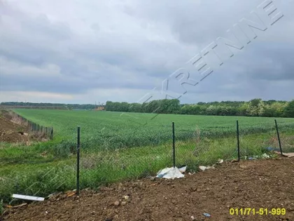 Kvantaška pijaca | 4zida.rs