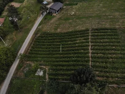 Staro, Velika Župa | 4zida.rs