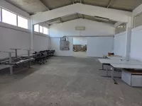 Hala | 4zida