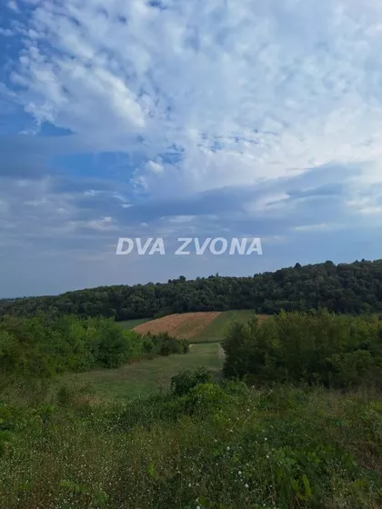 Čortanovci | 4zida.rs