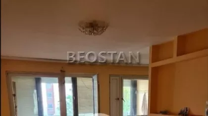 Dr Ivana Ribara | 4zida.rs