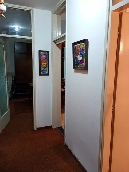 Brijanova | 4zida.rs