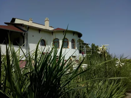 Sremska Kamenica | 4zida.rs