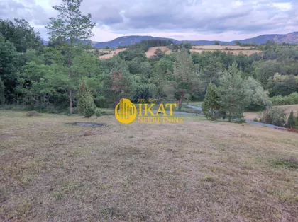 Čeda Vujadinovića | 4zida.rs