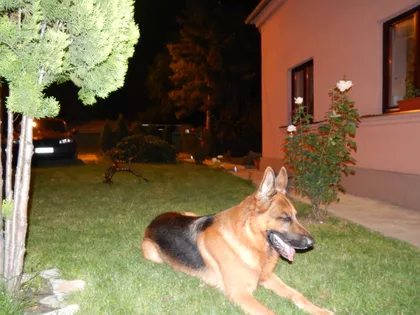 Dimitrija Tucovića | 4zida.rs