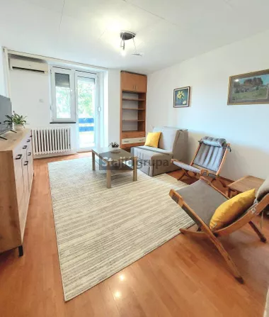 Dušana Petrovića Šaneta