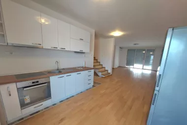Miše Dimitrijevića