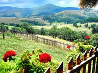 Gajevi, Okolne lokacije, Zlatibor | 4zida.rs