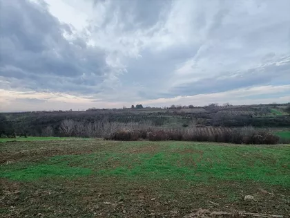 Mike antića bb | 4zida.rs