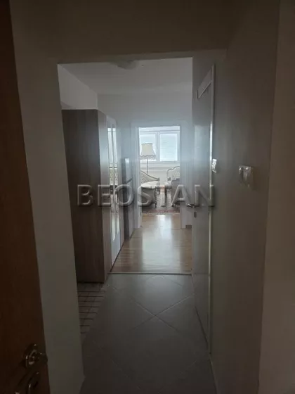 Blok 31 - Opština | 4zida.rs