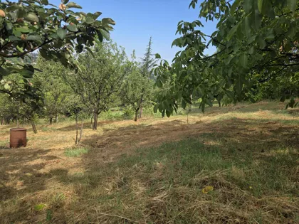 Sremska Kamenica | 4zida.rs
