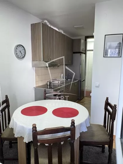 Dr Ivana Ribara | 4zida.rs